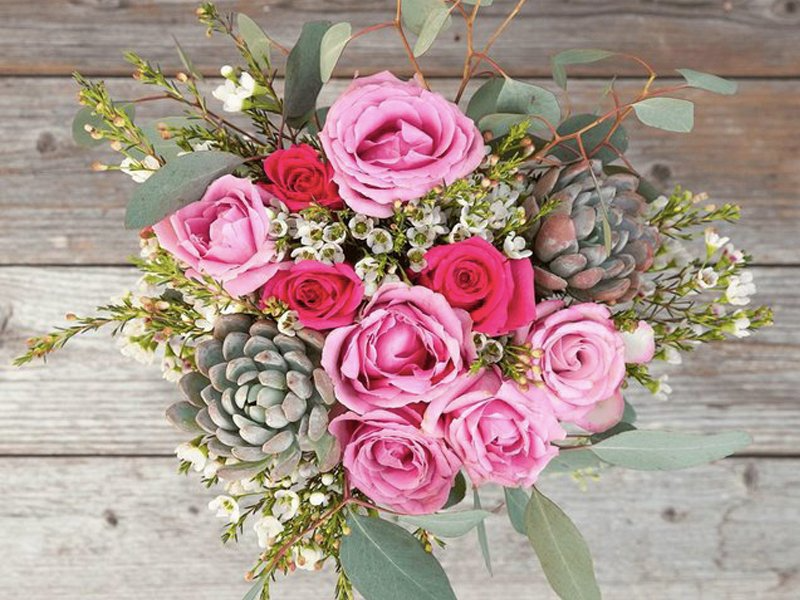 Roses and succulents